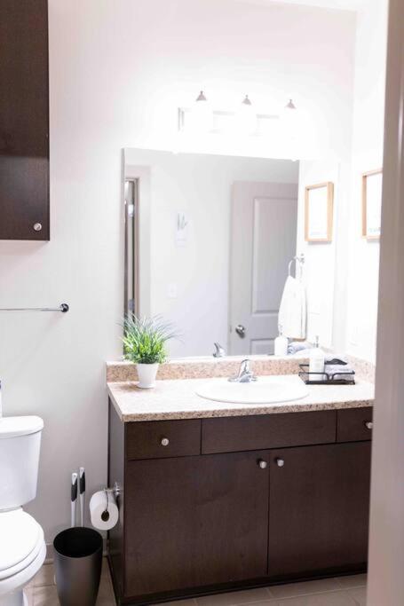 Amplify Spaces 1 And 2 Bedroom Apartments, Downtown Birmingham, Uab Buitenkant foto
